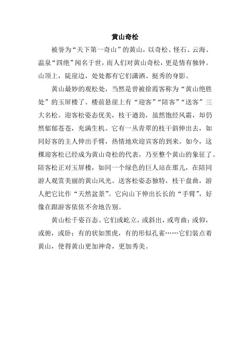 《黄山奇松》课文原文