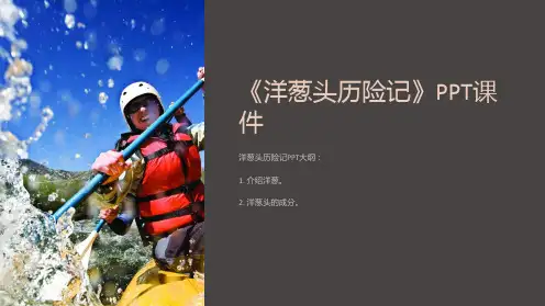 《洋葱头历险记》课件
