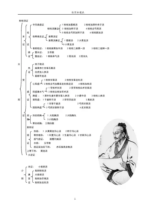 伤寒论方证结构图 精美彩图打印版