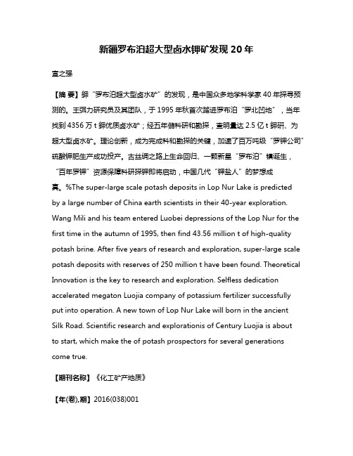 新疆罗布泊超大型卤水钾矿发现20年