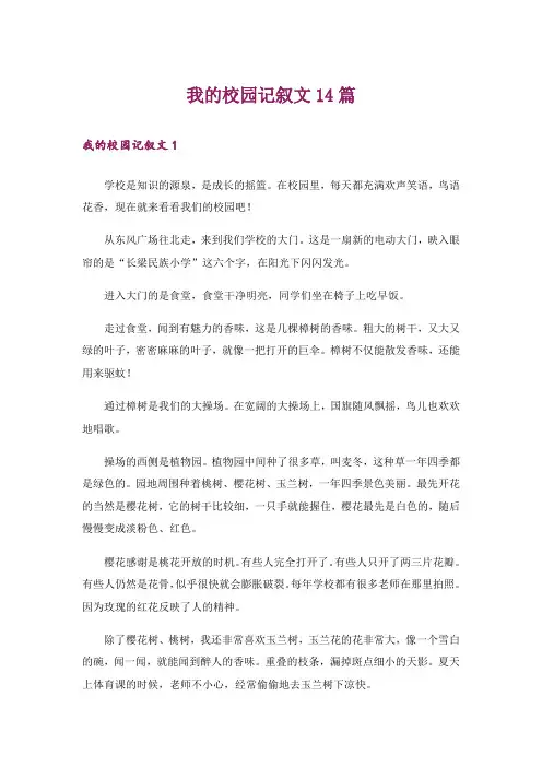 我的校园记叙文14篇