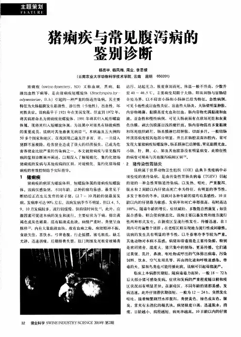 猪痢疾与常见腹泻病的鉴别诊断