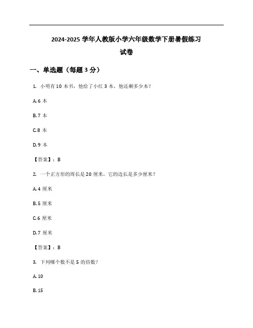 2024-2025学年人教版小学六年级数学下册暑假练习试卷及答案