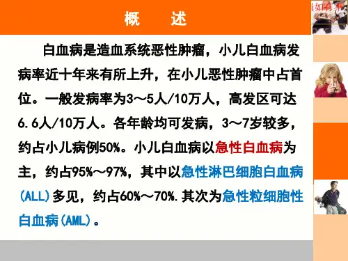 急性白血病的化疗方案培训课件