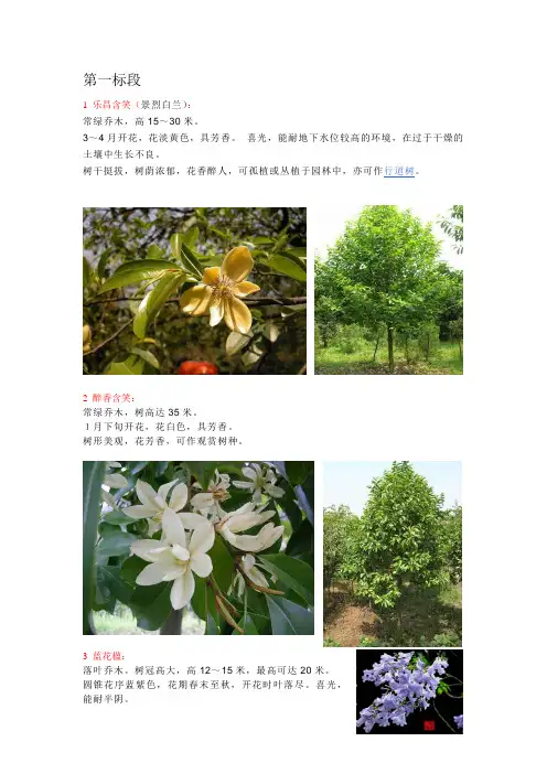 云南常见植物