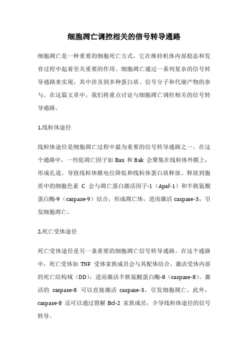 细胞凋亡调控相关的信号转导通路