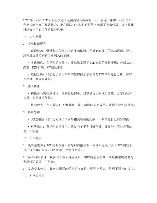 pcr个人工作总结