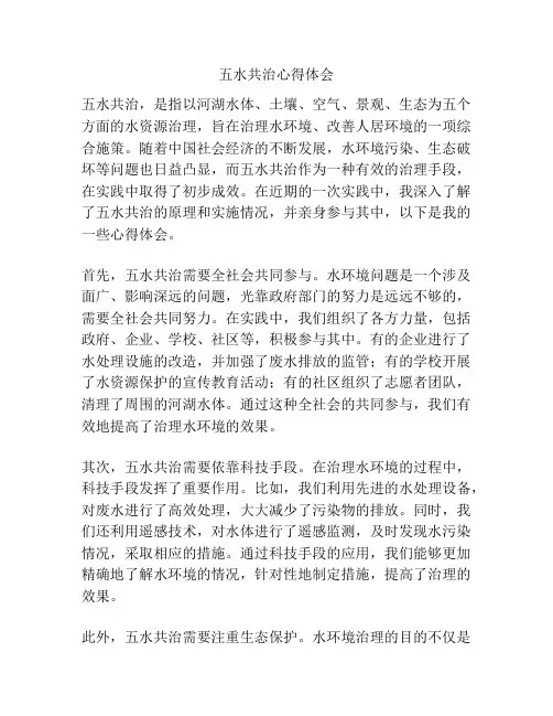 五水共治心得体会