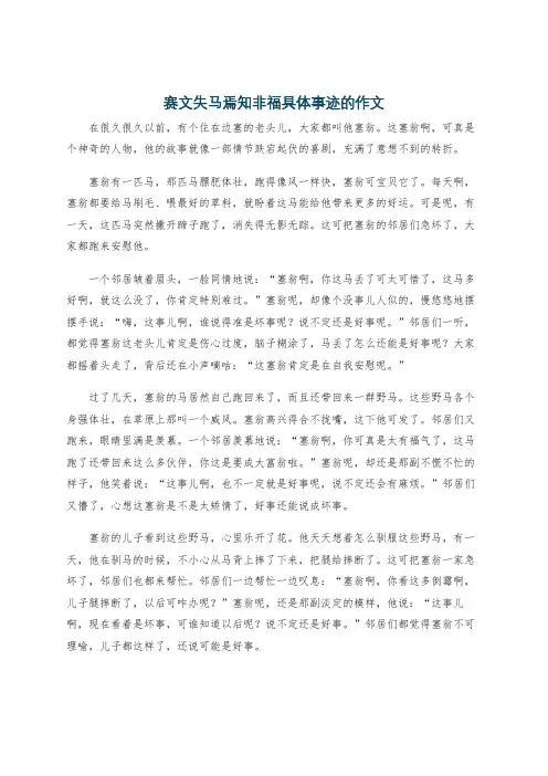 赛文失马焉知非福具体事迹的作文