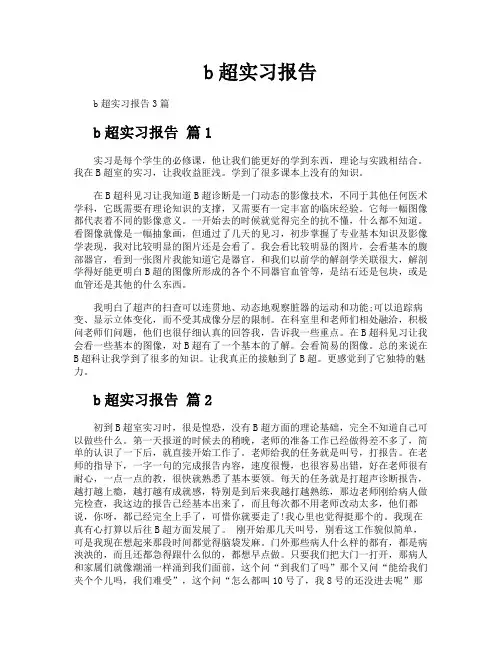 b超实习报告