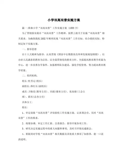 小学双高双普实施方案