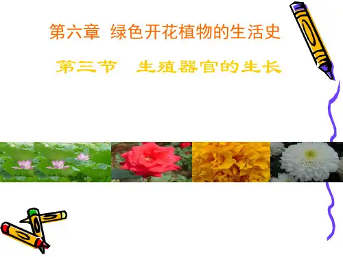 《营养器官的生长》课件(北师大版)