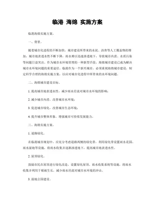 临港 海绵 实施方案