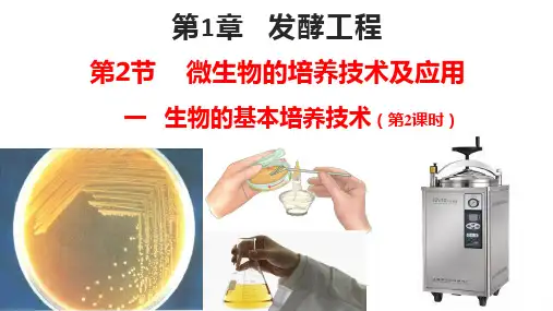 微生物的基本培养技术(教学课件)-高二生物人教版(2019)选择性必修3