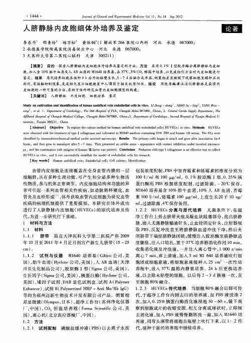 人脐静脉内皮胞细体外培养及鉴定