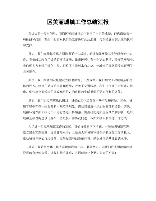 区美丽城镇工作总结汇报
