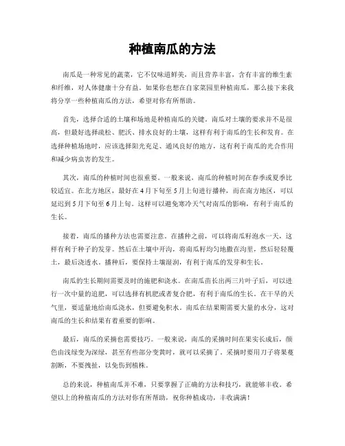 种植南瓜的方法
