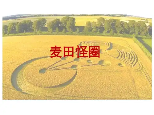 一分钟演讲麦田怪圈