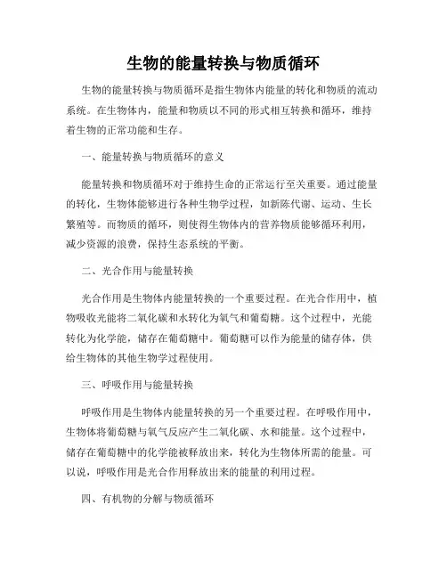 生物的能量转换与物质循环