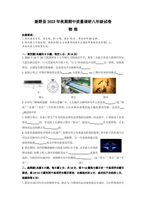 河南省南阳市新野县2023-2024学年上学期八年级期中考试物理试卷(含答案)