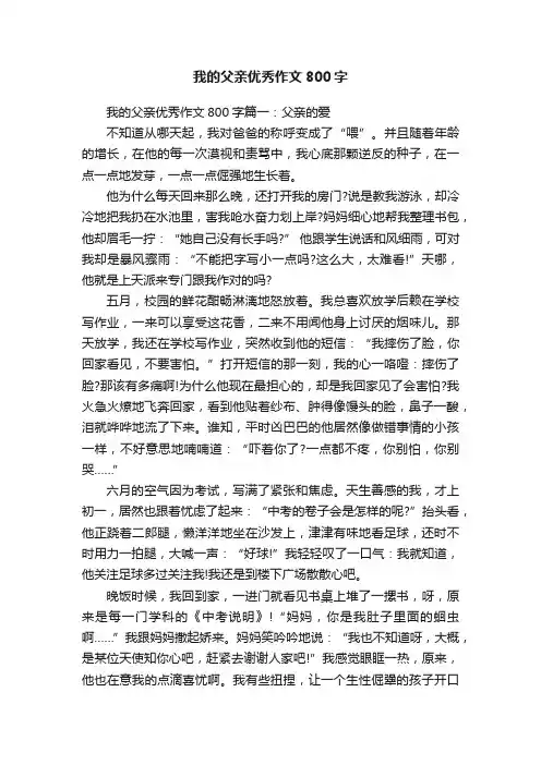 我的父亲优秀作文800字