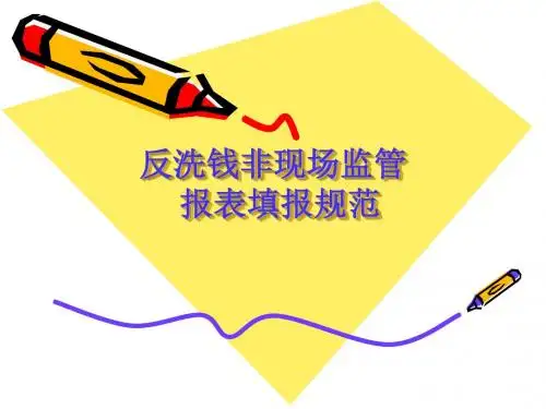 反洗钱非现场监管报表填报规范