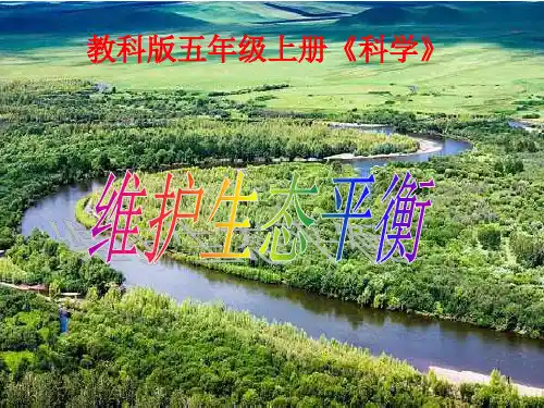 【推荐】五年级上册科学课件-1.8《维护生态平衡》 ｜教科版  (共20张PPT)