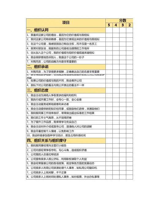 企业文化价值观诊断量表