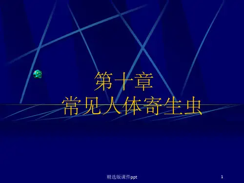 第10章0 常见人体寄生虫