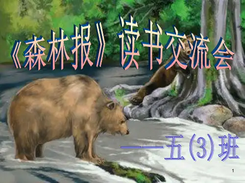 森林报读书交流会ppt课件