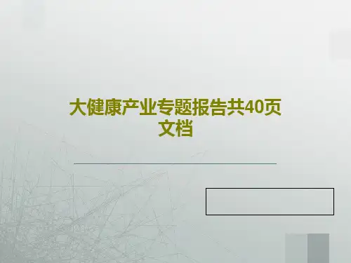 大健康产业专题报告共40页文档PPT共42页