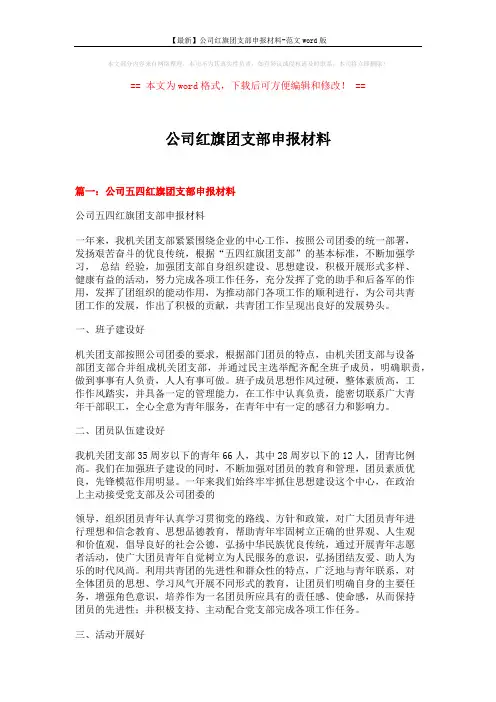 【最新】公司红旗团支部申报材料-范文word版 (5页)