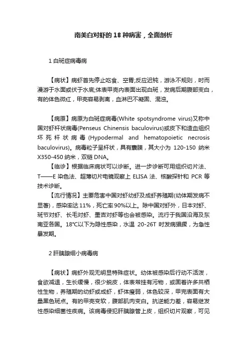 南美白对虾的18种病害，全面剖析