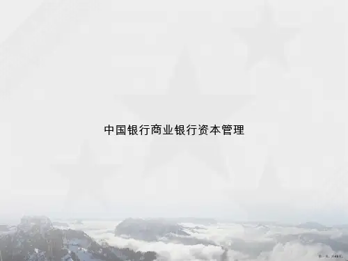 中国银行商业银行资本管理讲课文档
