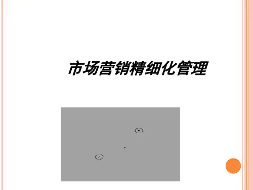 市场营销精细化管理