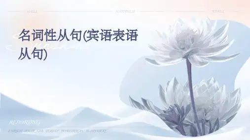 名词性从句(宾语表语从句)