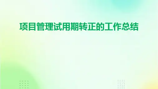 项目管理试用期转正的工作总结PPT