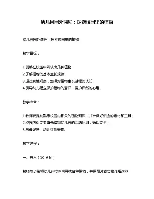 幼儿园园外课程：探索校园里的植物