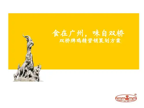双桥牌鸡精市场营销策划方案