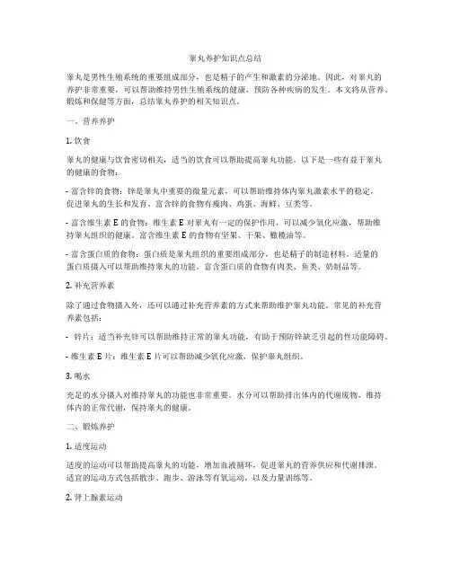 睾丸养护知识点总结