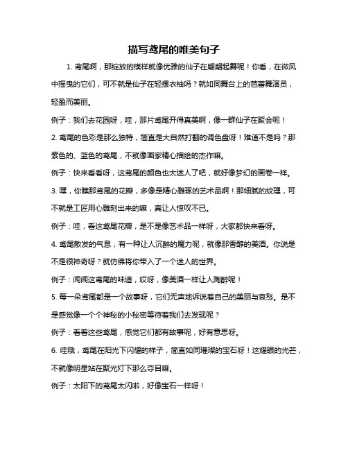描写鸢尾的唯美句子