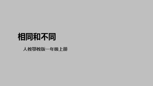 人教版一年级上册科学1.3《相同和不同》课件