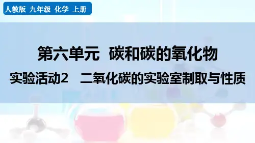 人教版九年级化学上册第六单元碳和碳的氧化物 实验活动2 二氧化碳的实验室制取与性质