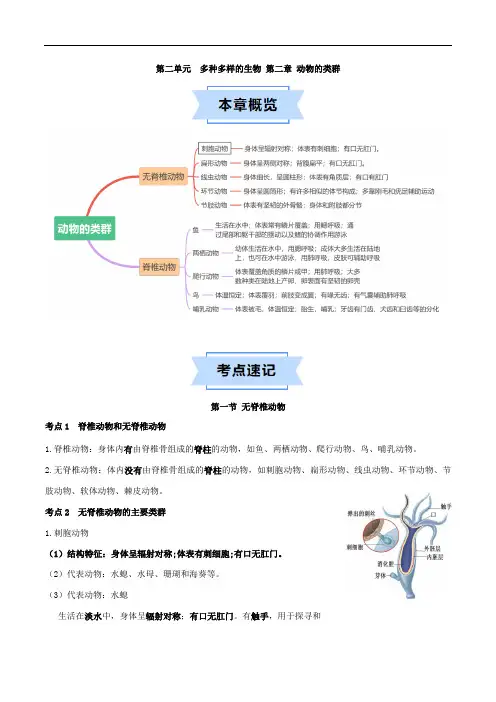 新人教版七年级上册生物知识清单第二单元 第二章 动物的类群【速记清单】(解析版)