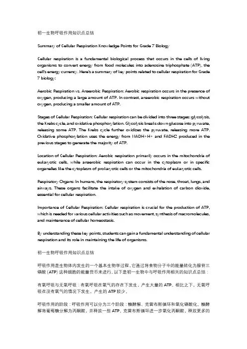 初一生物呼吸作用知识点总结
