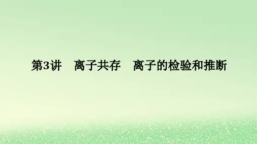 2024版新教材高考化学全程一轮总复习第一章物质及其变化第3讲离子共存离子的检验和推断课件