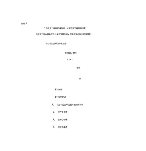 民办非企业单位年审计报告模版