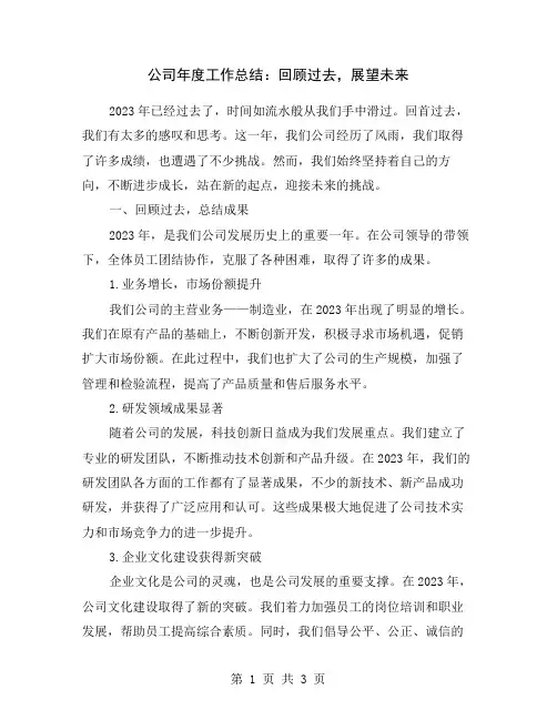公司年度工作总结：回顾过去,展望未来