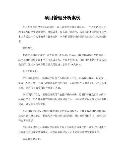 项目管理分析案例