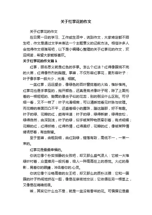 关于红掌花的作文